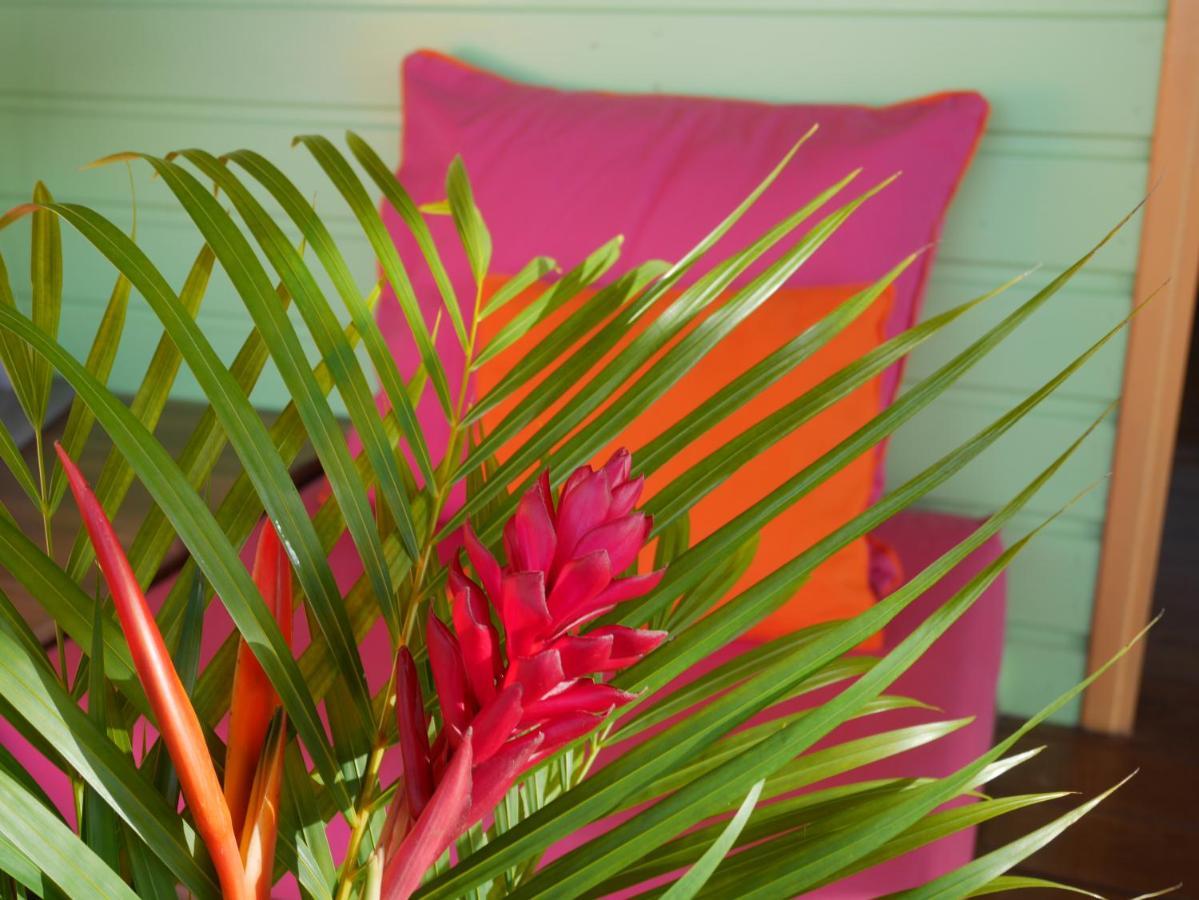 La Joupa case Anthurium Sainte-Rose Extérieur photo