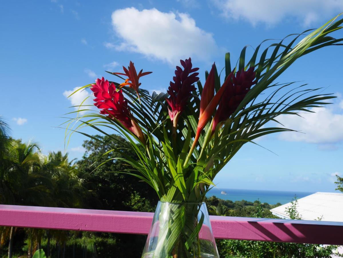 La Joupa case Anthurium Sainte-Rose Extérieur photo